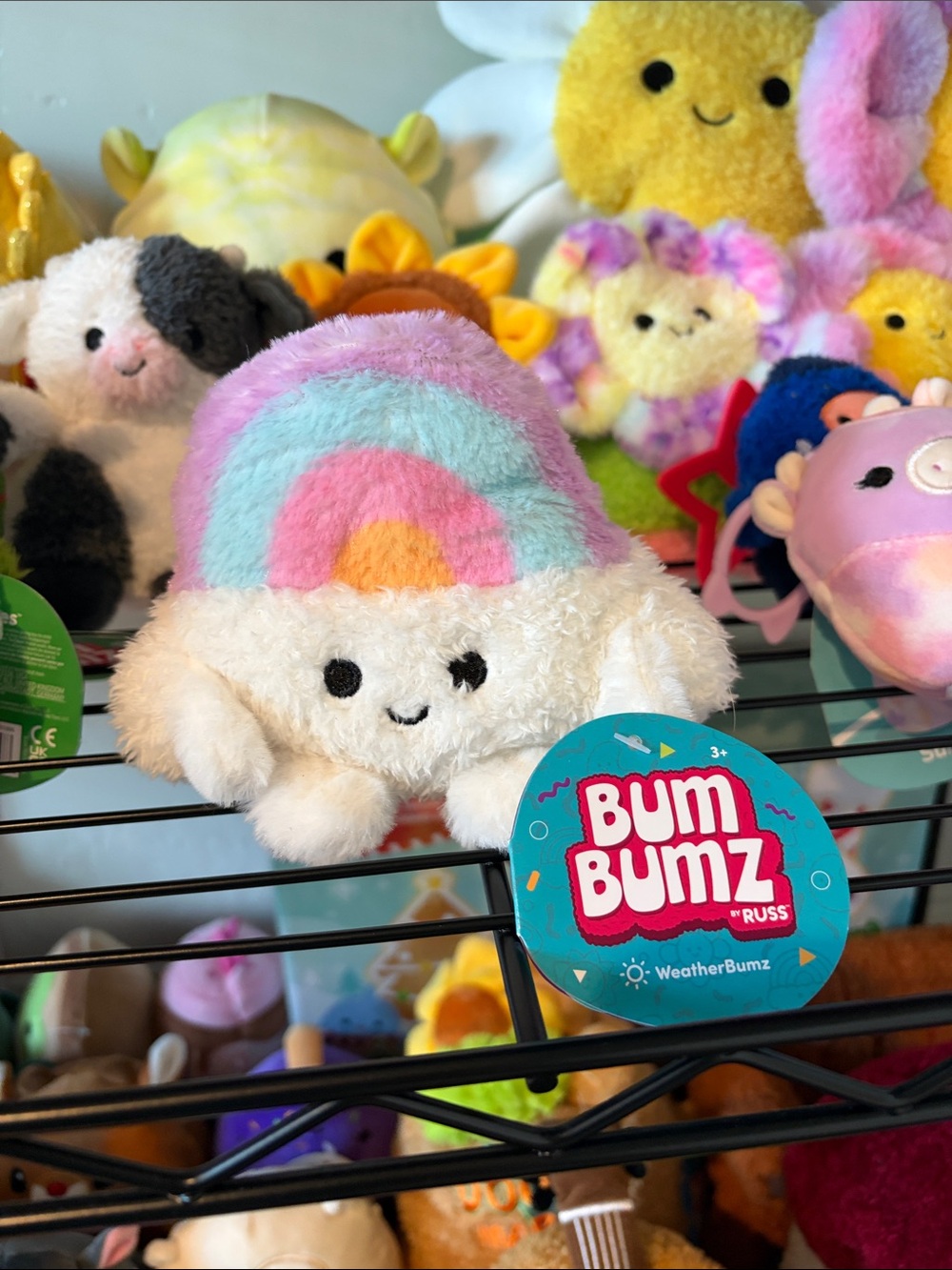 🇺🇸 Rue the Rainbow Bum Bumz